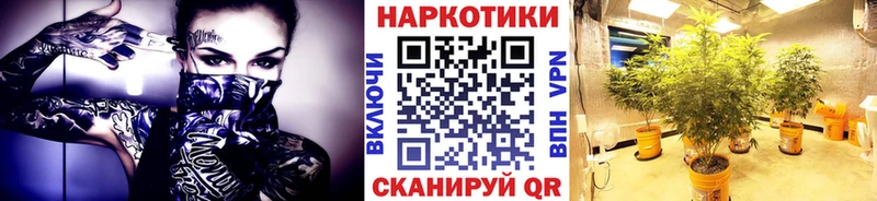 А ПВП Завитинск