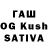 Псилоцибиновые грибы Magic Shrooms Kevin Blessing