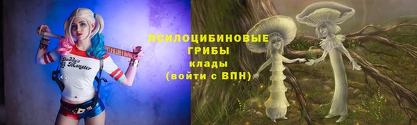 МДМА Алексеевка